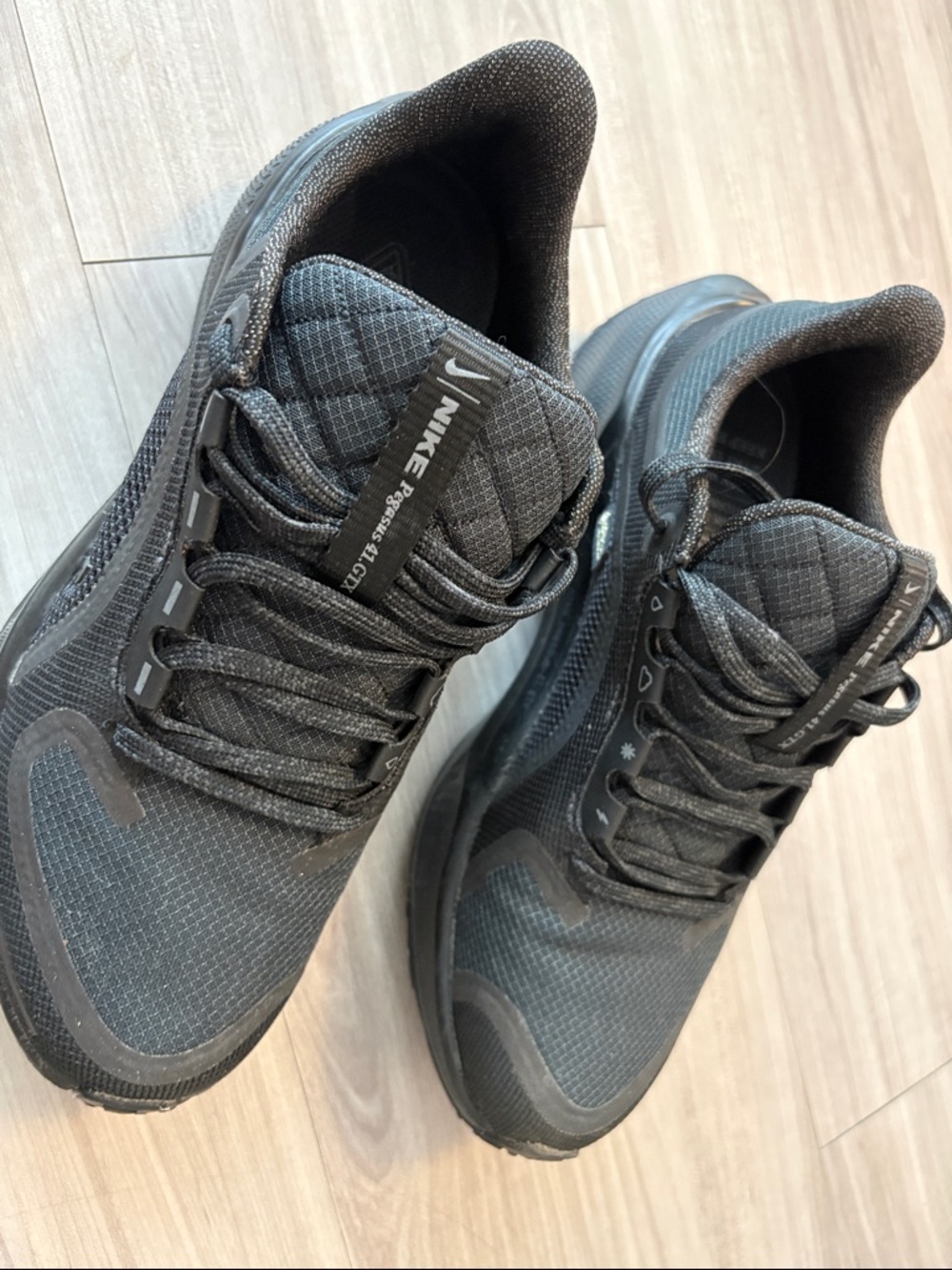 Women’s Nike Pegasus gore tek shoes